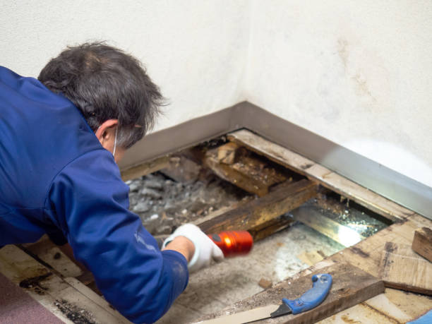 Best Mold Testing and Inspection Services in Farmersville, CA