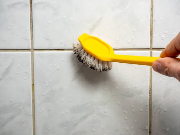 Professional Mold Remediation in Farmersville, CA