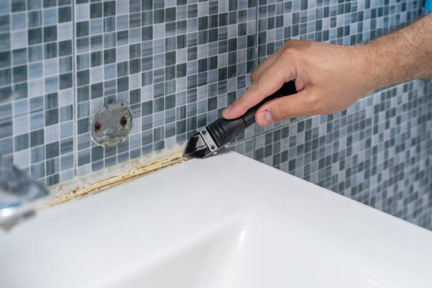 Best Industrial Mold Remediation in Farmersville, CA
