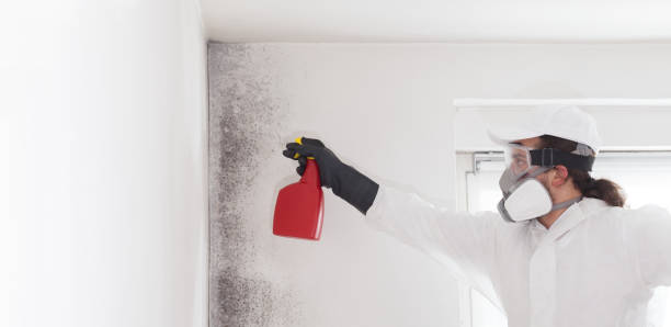 Best Bathroom Mold Remediation in Farmersville, CA
