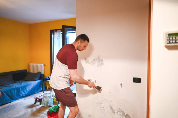 Best Basement Mold Remediation in Farmersville, CA